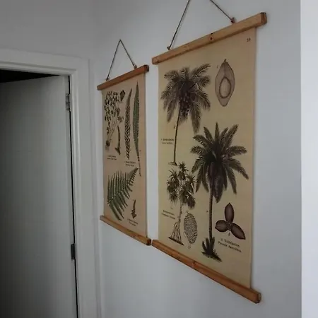 公寓 Salva Reina *