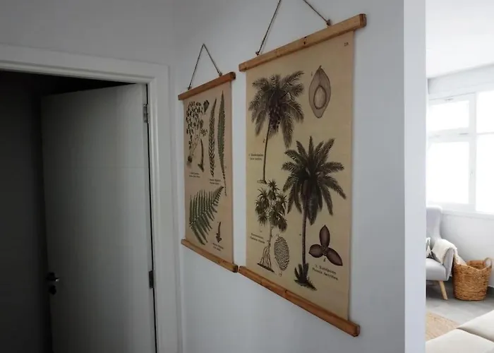 Apartman Salva Reina *