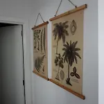 Apartment Salva Reina *